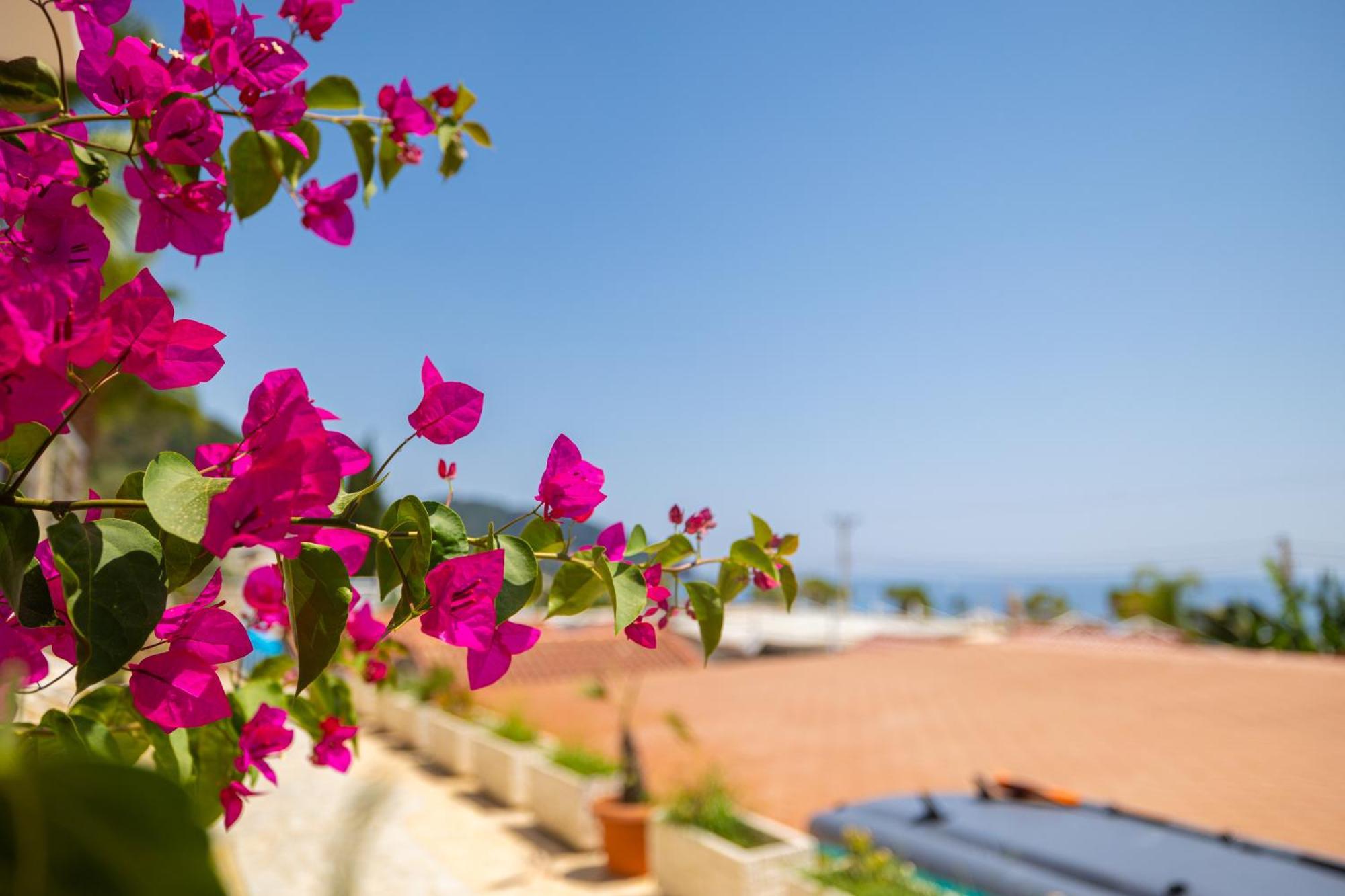 Royal Blue Hotel Dhërmi Εξωτερικό φωτογραφία