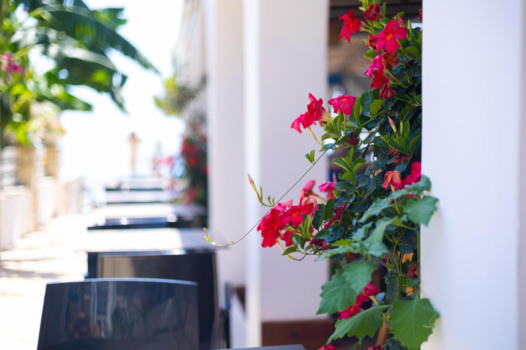 Royal Blue Hotel Dhërmi Εξωτερικό φωτογραφία